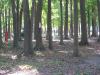 Hampton 9 Disc Golf Course