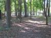 Hampton 9 Disc Golf Course