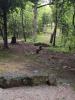 Williams Park - Timber Valley Disc Golf