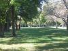 Hampton 9 Disc Golf Course