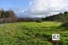 The Stadium Course at Natividad Creek Park