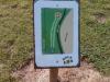 Mundy Park