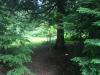 Frost Creek