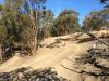 Chavez Ridge at Elysian