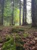 DiscGolfPark Transylvania