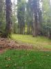 DiscGolfPark Transylvania