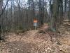 Discgolf Lions Šumperk