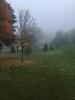 Scarlett Woods Disc Golf Course