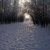 Toboggan Hill