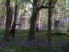 Bluebell Woods Disc Golf Course