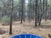 Ravenwood DiscGolfPark