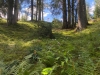 Alpine Disc Golf Bach