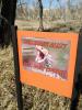 Bullsnake Alley Disc Golf Course