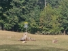 J.P. Moseley Disc Golf Course