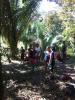 Permaculture Country Club of Costa Rica