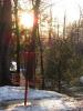Burnsboro Disc Golf Course