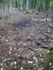 Schroeder Park Disc Golf Course