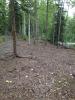 Schroeder Park Disc Golf Course