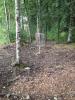 Schroeder Park Disc Golf Course