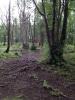 Alcantra Disc Golf - Little Su