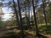 Kättsätter Discgolfbana