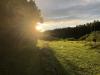 Kättsätter Discgolfbana