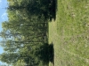 Culp Disc Memorial Course at JV Farmz