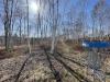 Kivi Park Disc Golf Course