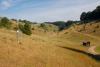 Discgolf Parcours Söhnstetten