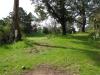 Lake Chabot Disc Golf Course - Lake