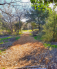 Parque De La Raza Disc Golf Course