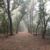 Lighthouse Disc Golf Course at Lake Cunningham