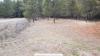Farragut State Park - Little Black Bear