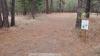 Farragut State Park - Little Black Bear