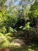 Roatan Disc Golf