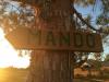 Maricopa Meadows