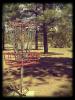 McPherson Park
