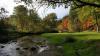 Mill Creek