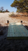 Cape Henlopen State Park