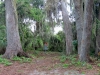 Lake Okahumpka Disc Golf Course