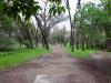 Shady Oaks Park