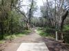 Shady Oaks Park