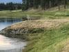 Wilderness Club Disc Golf