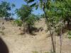 Riverbend Park - North