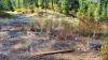 Rathdrum Mountain Disc Golf Course