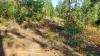Rathdrum Mountain Disc Golf Course