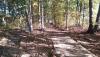 Dickson Disc Golf Course