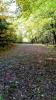 Five Seasons Disc Golf Course