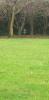 Bason Botanical Gardens Disc Golf