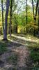 Five Seasons Disc Golf Course